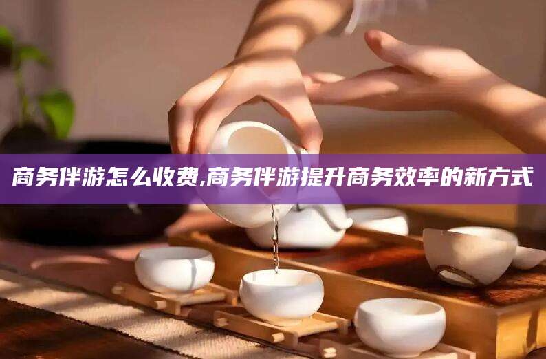 海东商务伴游怎么收费,商务伴游提升商务效率的新方式