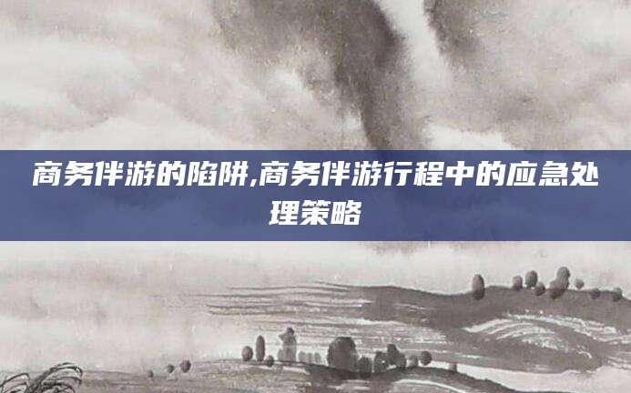 海东商务伴游的陷阱,商务伴游行程中的应急处理策略